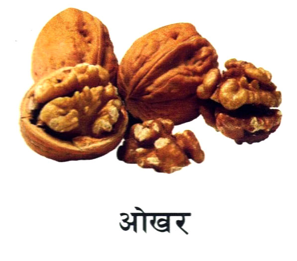 Fruit 5