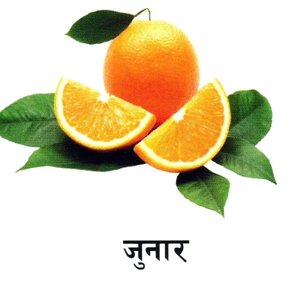 Fruit 9