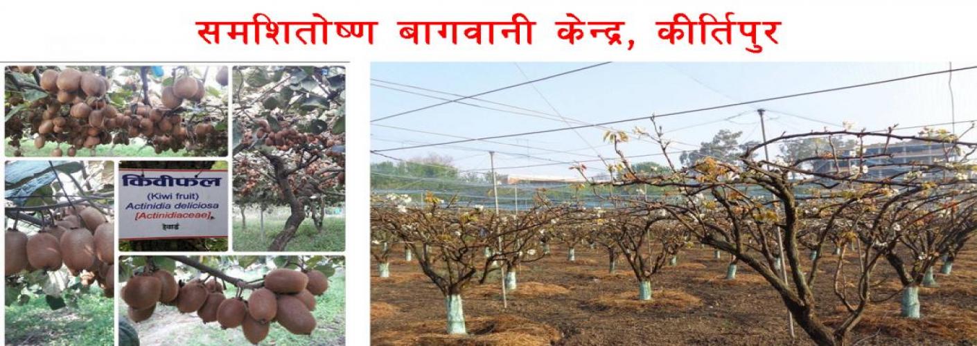 Subtropical Horticulture Center, Kirtipur