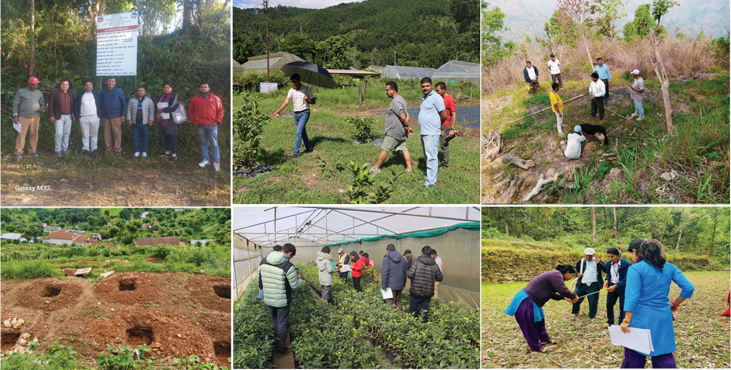 Field Visit
