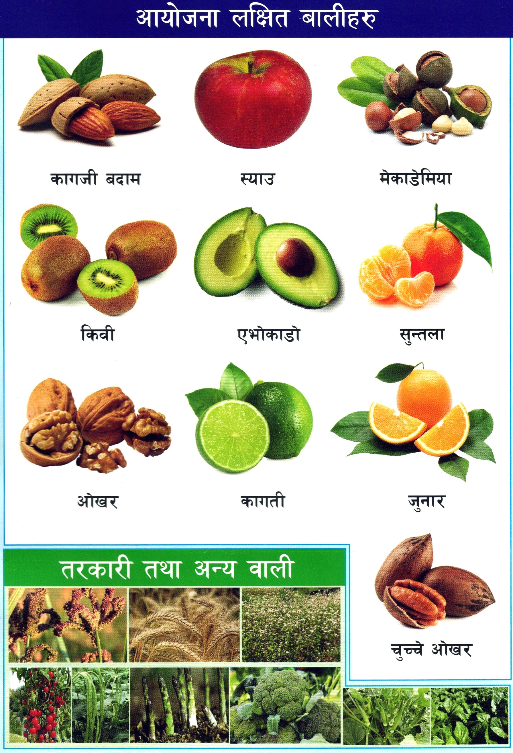 Project Target Crops