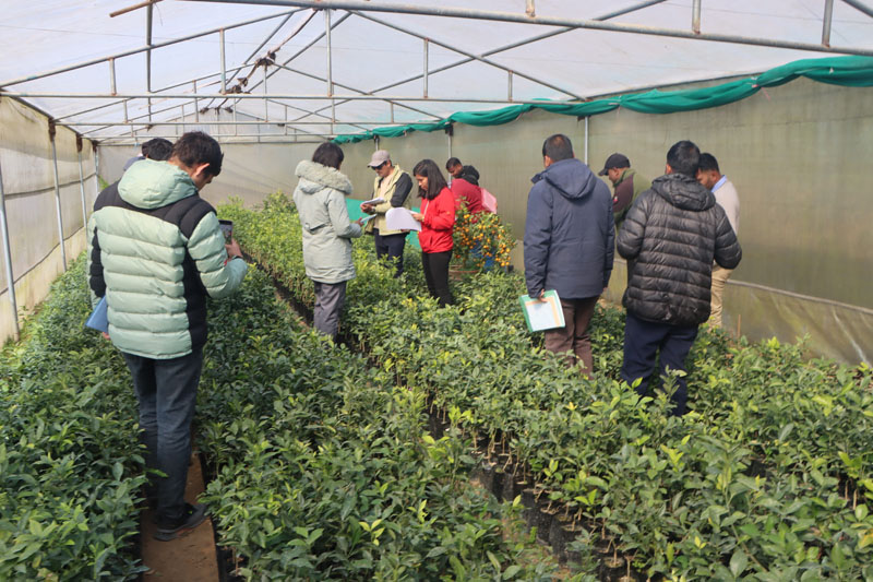 Nursery Field Visit during Training